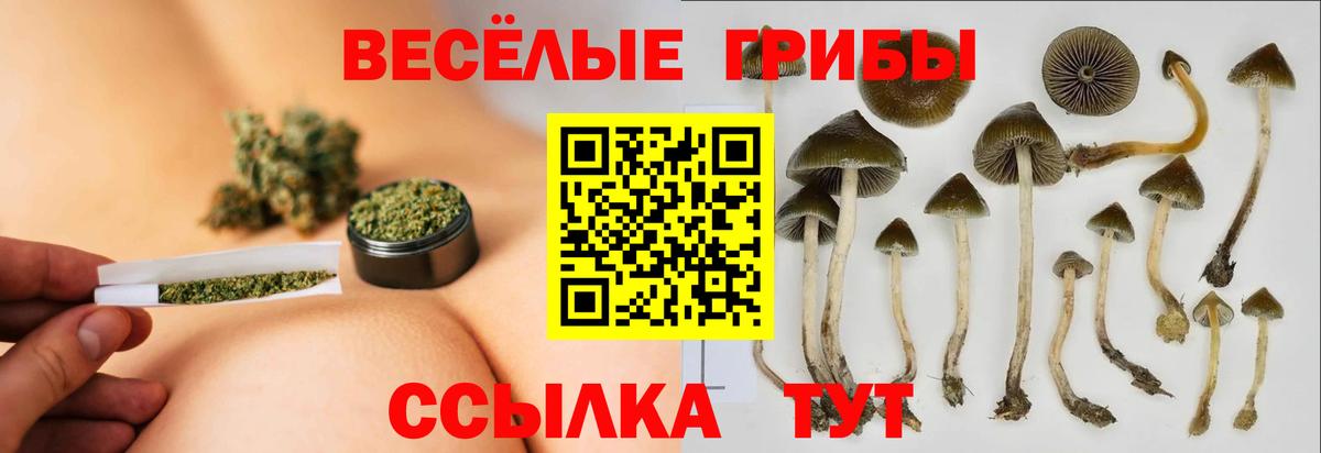 Галлюциногенные грибы Cubensis  Вход с VPN  Омск  Галлюциногенные грибы мухоморы 